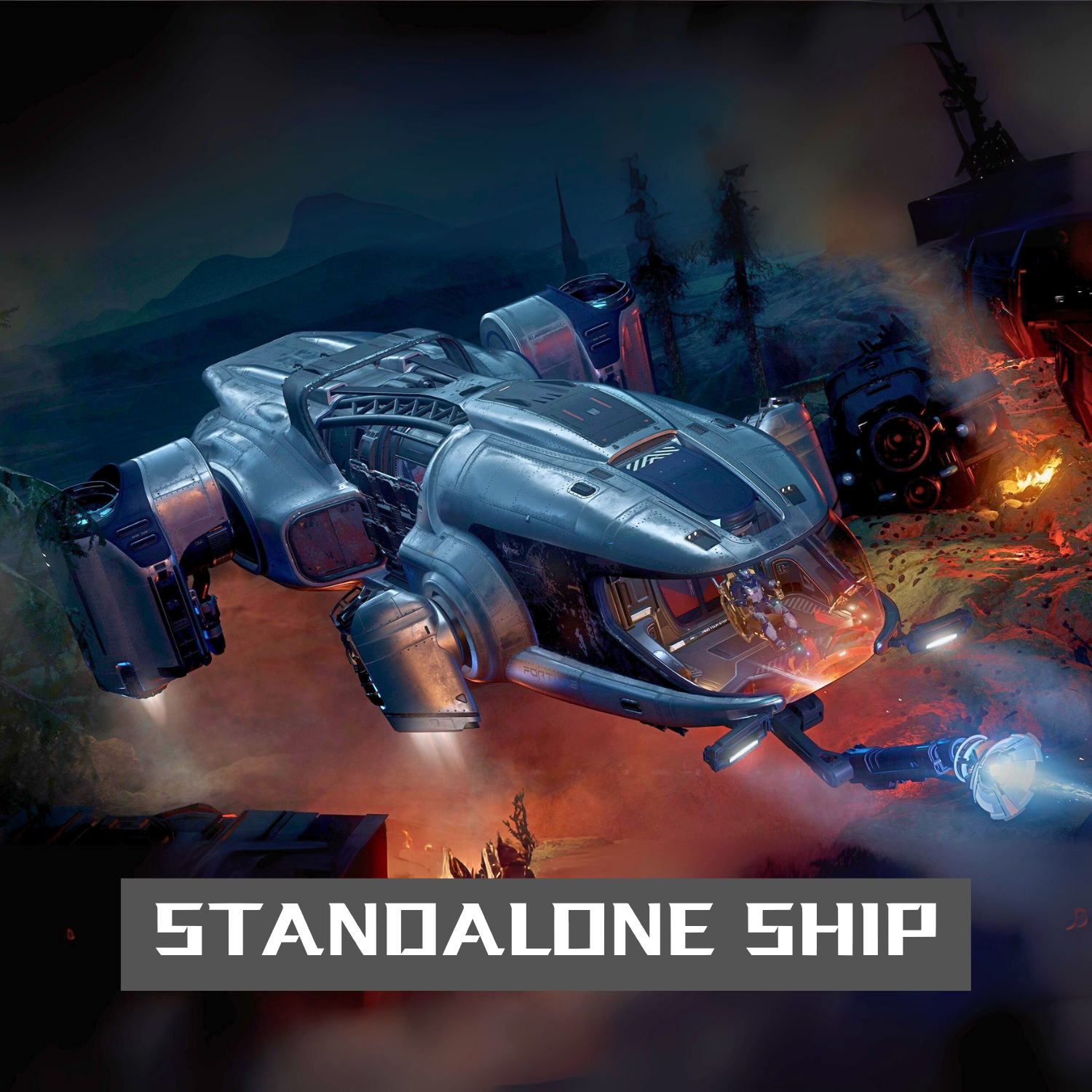 Fortune - Standalone Ship
