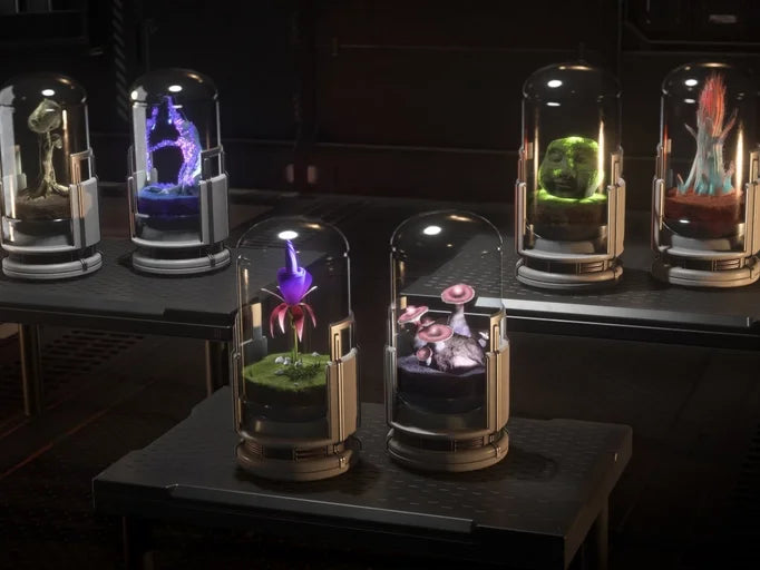 Hab Plant Set - Subscriber Store