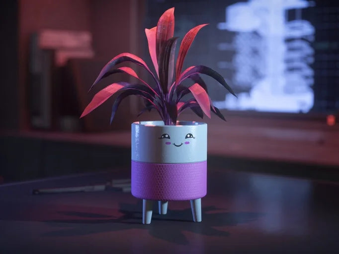 Hello Sunshine Cheeky Planter - Subscriber Store