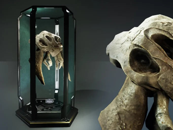 Puglisi Collection: Kamposi Magnus Skull - Subscriber Store