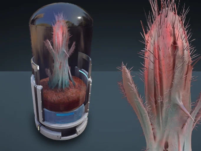 Space Cactus - Kavische - Subscriber Store