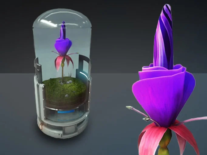 Space Flower - Emperor Blossom - Subscriber Store