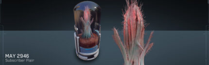 Space Cactus - Kavische
