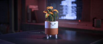 Hello Sunshine Happy Planter
